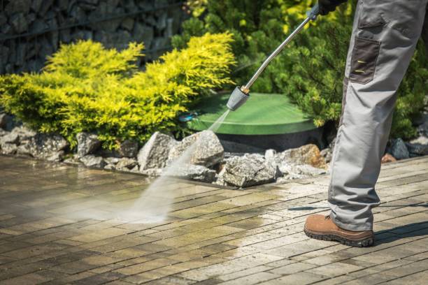 Best Sidewalk and Walkway Cleaning  in Thurmont, MD